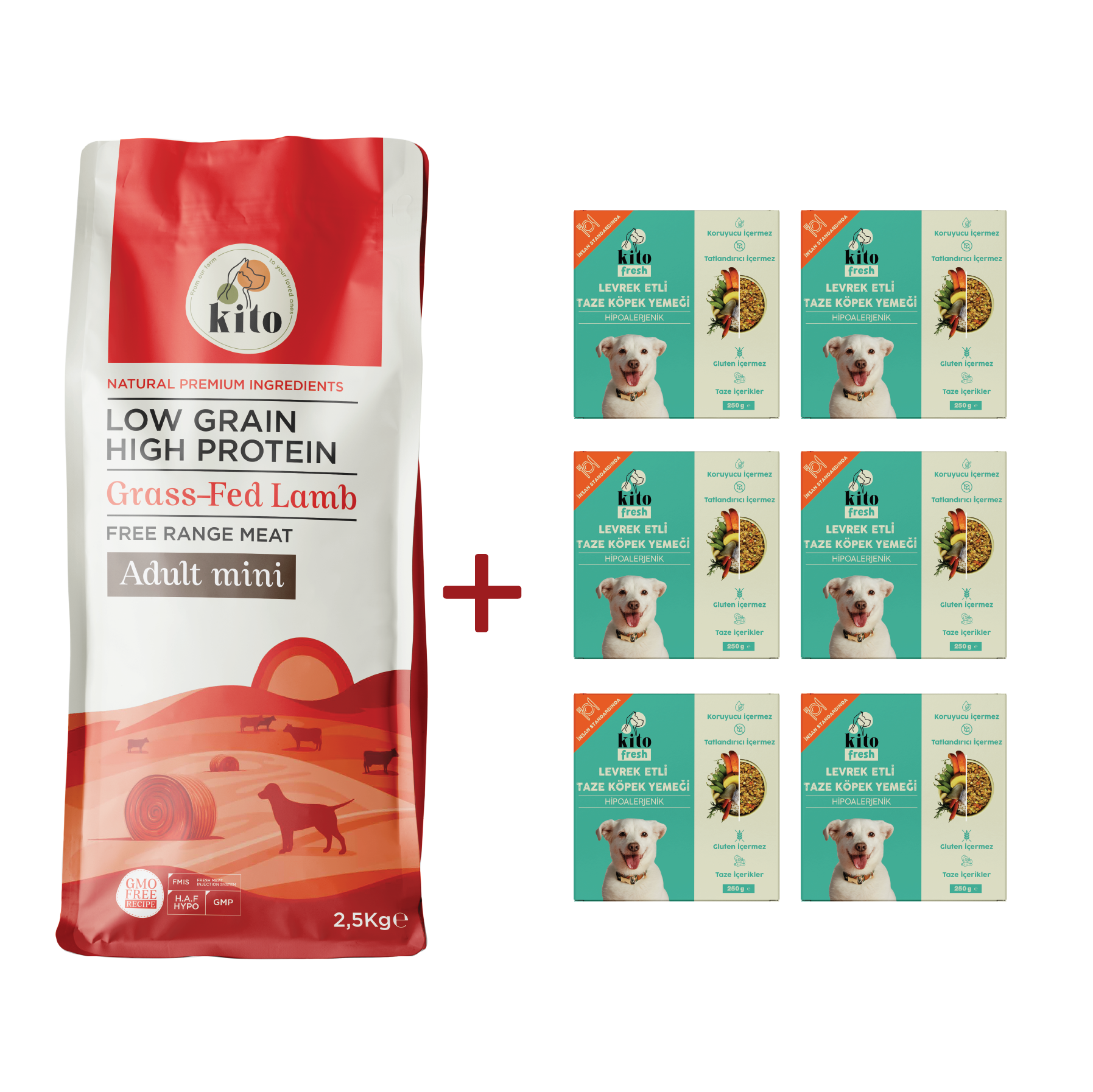 Yetişkin Mini Irk Köpek Maması ve Levrek Etli Köpek Kito Fresh