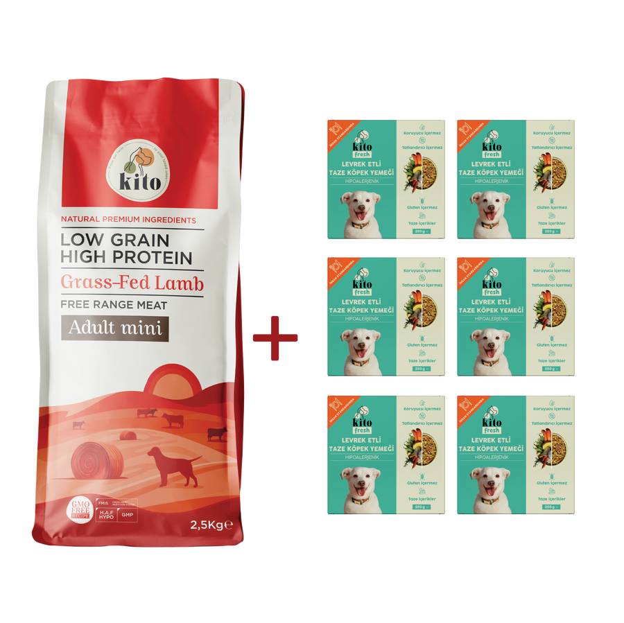 Yetişkin Mini Irk Köpek Maması 2.5 KG + Levrek Etli Köpek Kito Fresh X 6