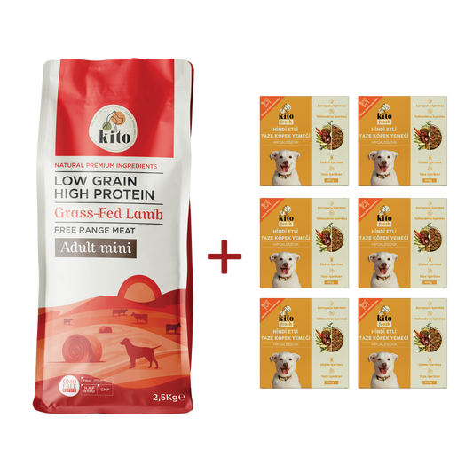 Yetişkin Mini Irk Köpek Maması 2.5 KG + Hindi Etli Köpek Kito Fresh X 6