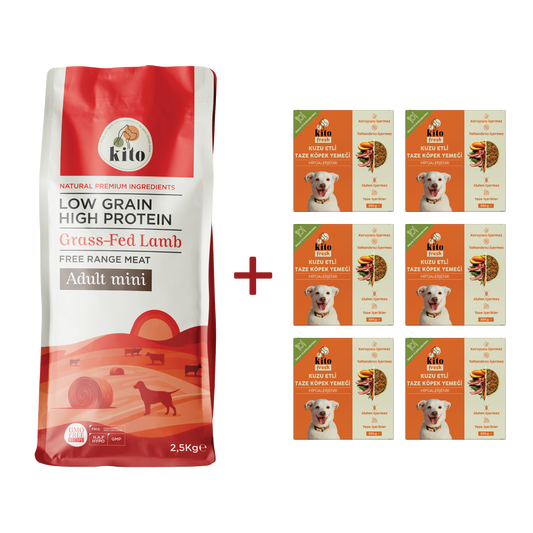 Yetişkin Mini Irk Köpek Maması 2.5 KG + Kuzu Etli Köpek Kito Fresh X 6