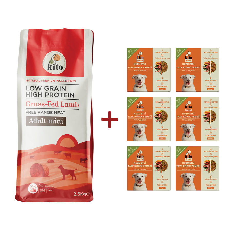 Adult Mini Dog Food 2,5 KG + Kito Fresh Dog Food with Lamb X 6