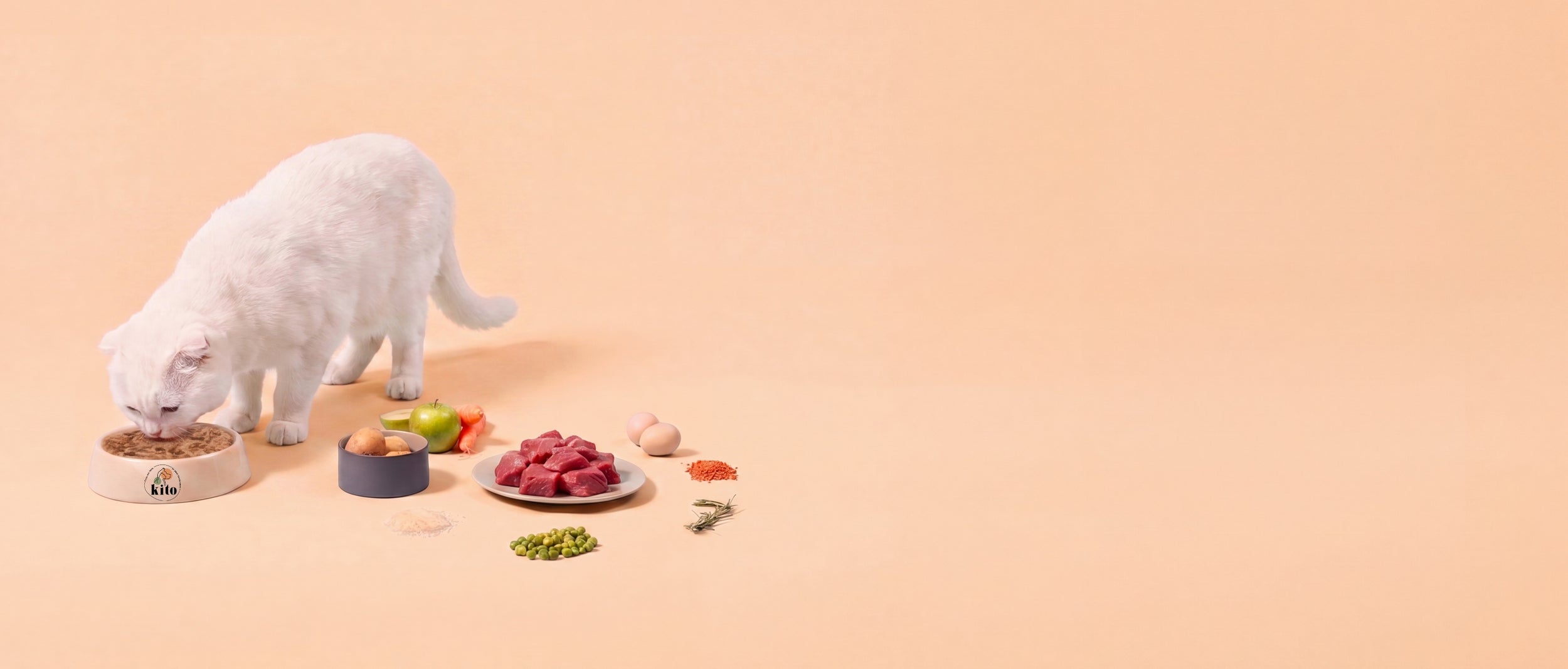What Makes Kito Fresh Different?