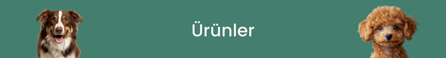 Köpek Ürünler