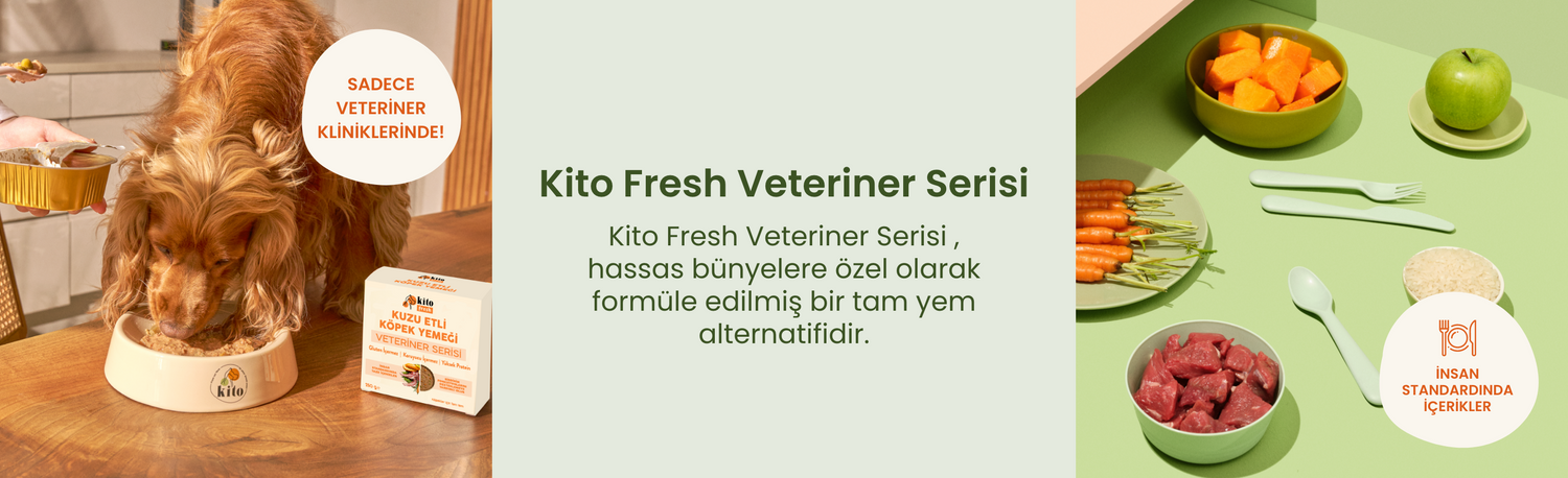 Kito Fresh Veteriner Serisi Banner
