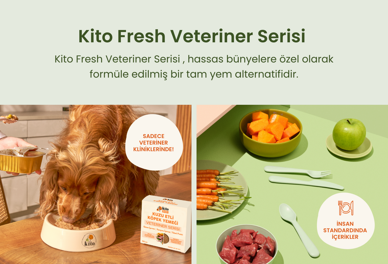 Kito Fresh Veteriner Serisi Banner