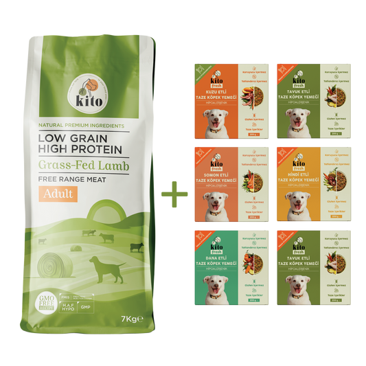 Kuzu Etli Yetişkin Köpek Maması 7 Kg + Kito Fresh %100 Taze İçerikli Mama Tanışma Paketi