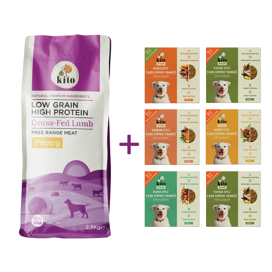 Kuzu Etli Yavru Köpek Maması 2.5 KG + Kito Fresh %100 Taze İçerikli Mama Tanışma Paketi
