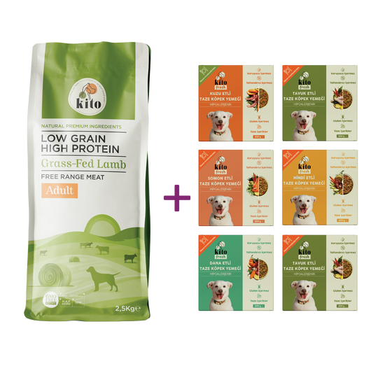 Kuzu Etli Yetişkin Köpek Maması 2,5 Kg + Kito Fresh %100 Taze İçerikli Mama Tanışma Paketi