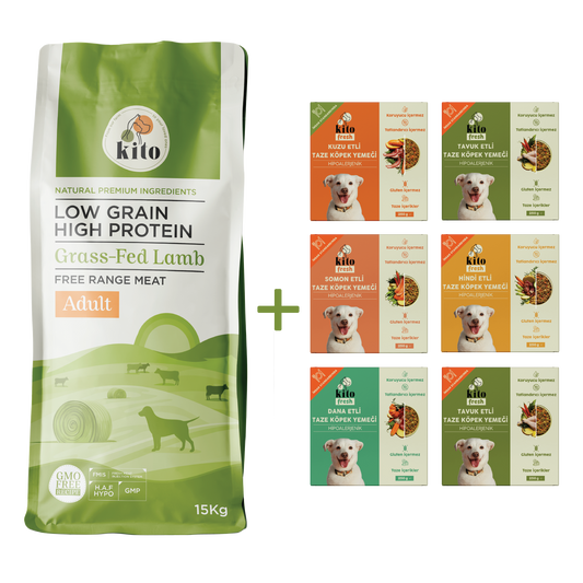 Kuzu Etli Yetişkin Köpek Maması 15 Kg + Kito Fresh %100 Taze İçerikli Mama Tanışma Paketi