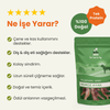 Kito Horoz Ayak Çiğnemelik Köpek Ödül Maması %100 Doğal, Glutensiz, Organik 100 gr