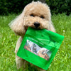 Kito Tavuk Boyun Çiğnemelik Köpek Ödül Maması %100 Doğal, Glutensiz, Organik 100 gr