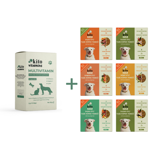Kito Fresh Welcome Pack for Dogs + Kito Immune System Supporter Multivitamin