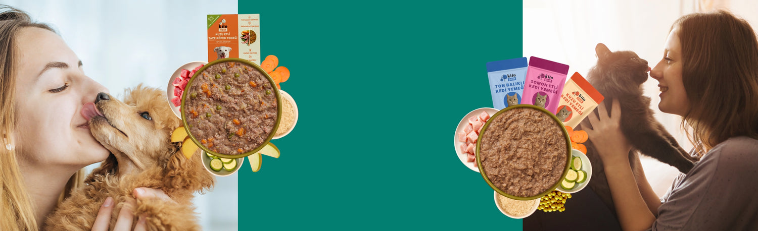 Katalog Desktop Banner