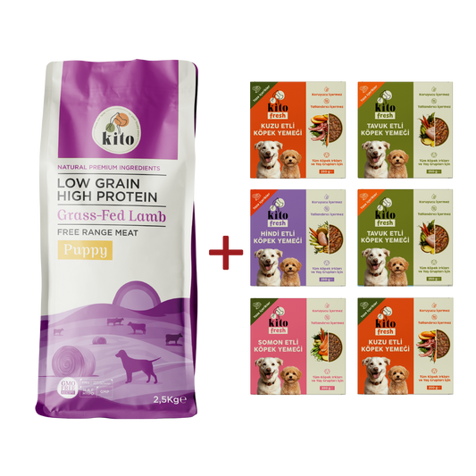 Puppy Food 2,5 KG + Kito Fresh Introduction Package