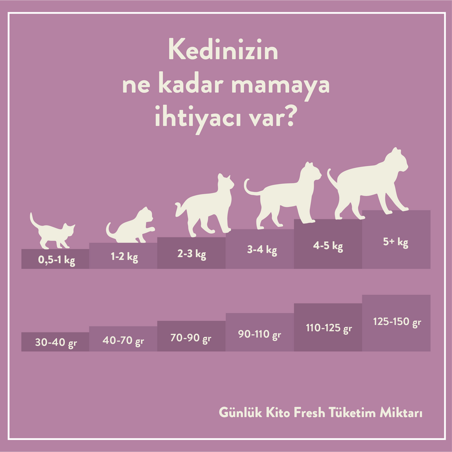 3 pieces of 2 kg kitten food