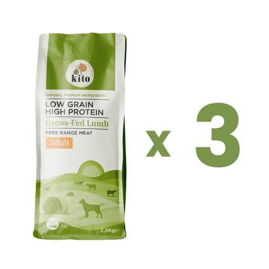 Yetişkin Köpek Maması