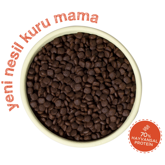 Mini Irk Köpek Maması