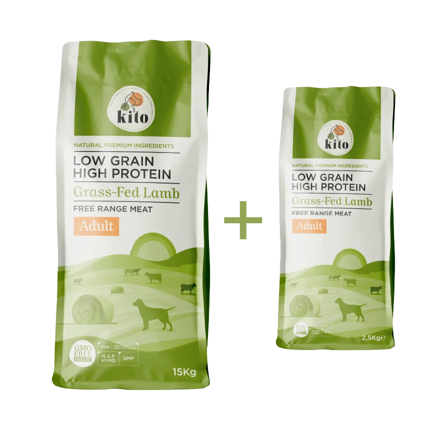 Yetişkin Köpek Maması