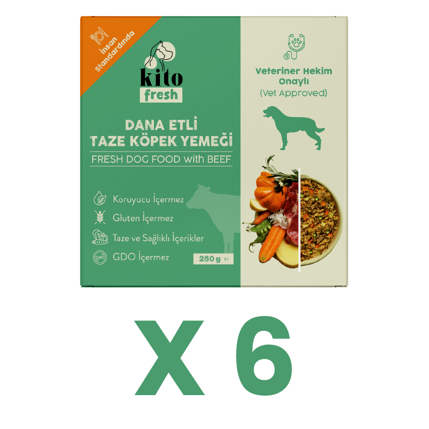 Kito Fresh Dog Food with Beef X 6 (1,5 kg)